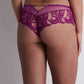 Cheeky Brief - Pink Karma