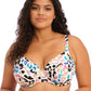 Party Bay Plunge Underwire Bikini Top - Multi