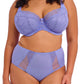 Brianna Full Brief - Jacaranda